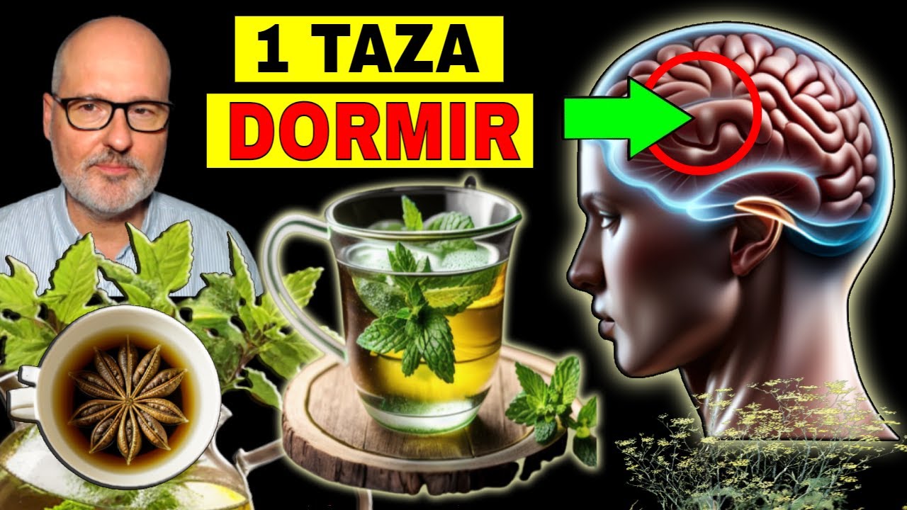 qué infusión es buena para dormir bien toda la noche