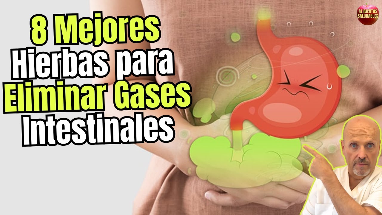 que infusiones son mejores para expulsar los gases