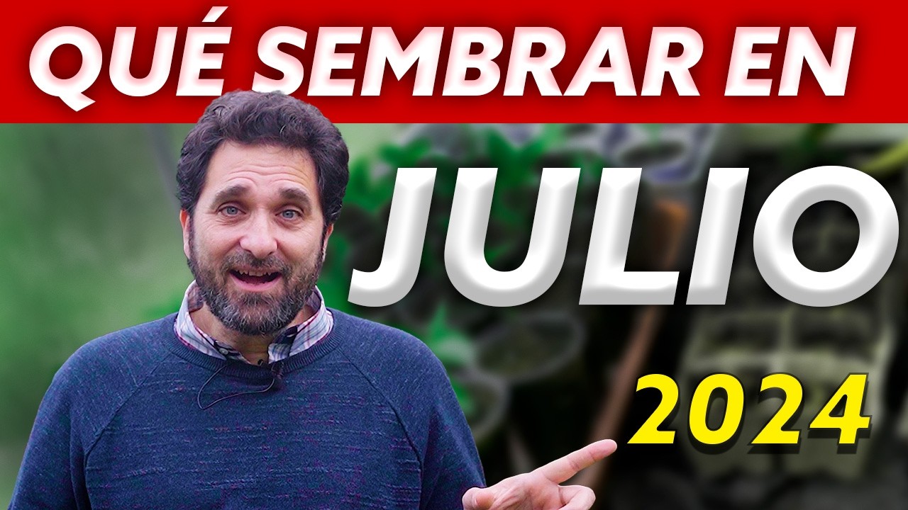 que plantar en julio y agosto