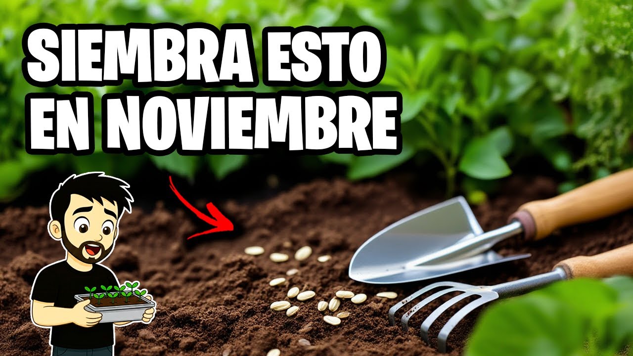 que plantar en noviembre en cataluña