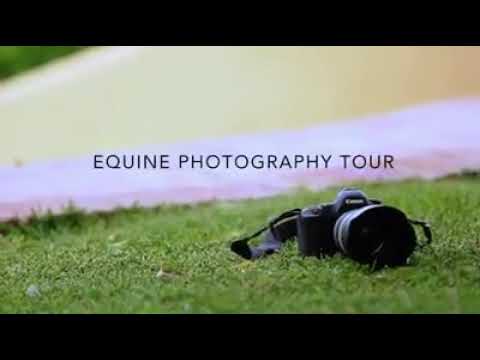 regalos originales para amantes del caballo