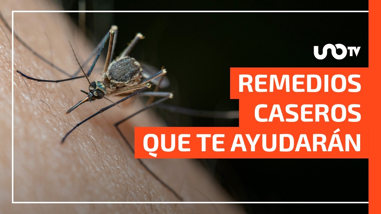 remedios caseros para picadura de mosquito en el ojo