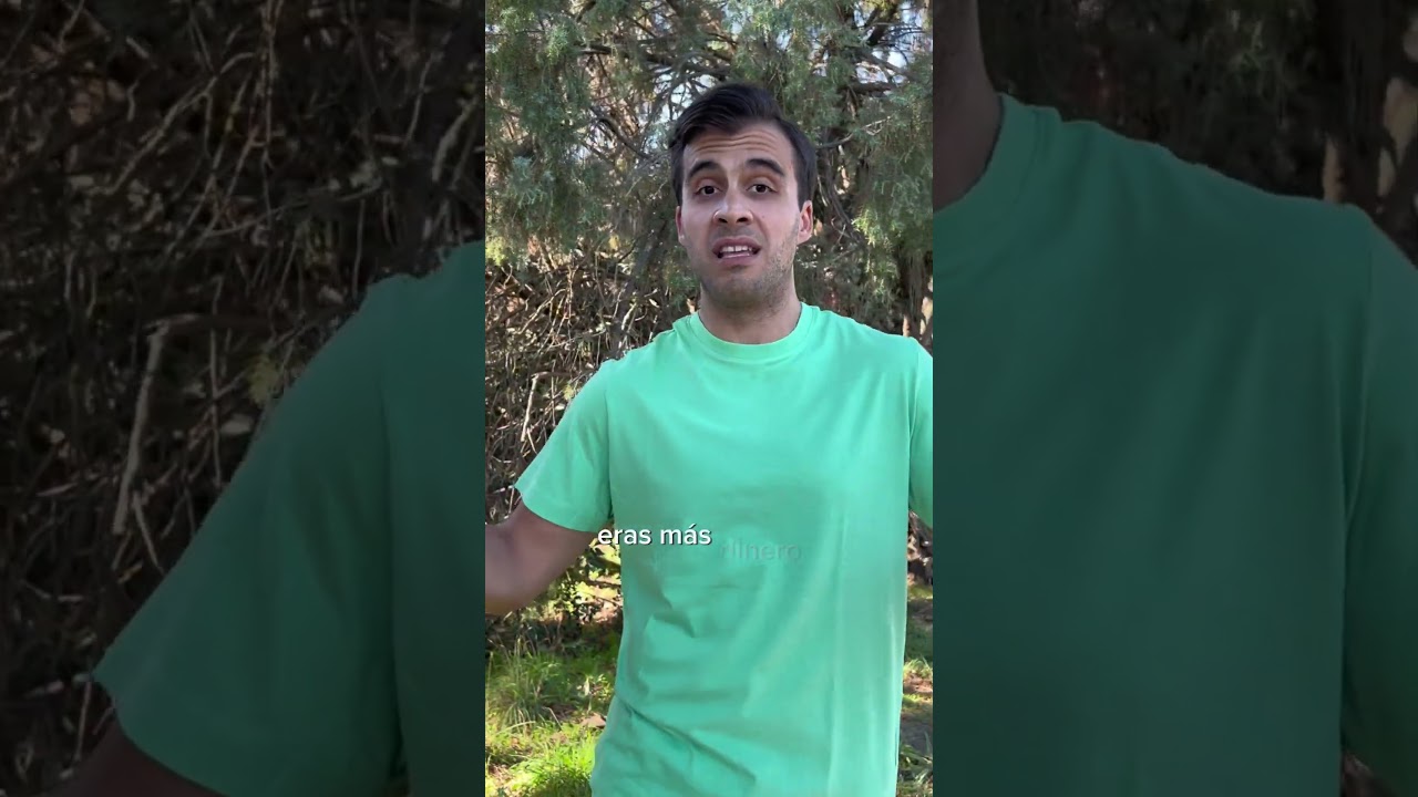 soy ludópata y no puedo pagar mis deudas